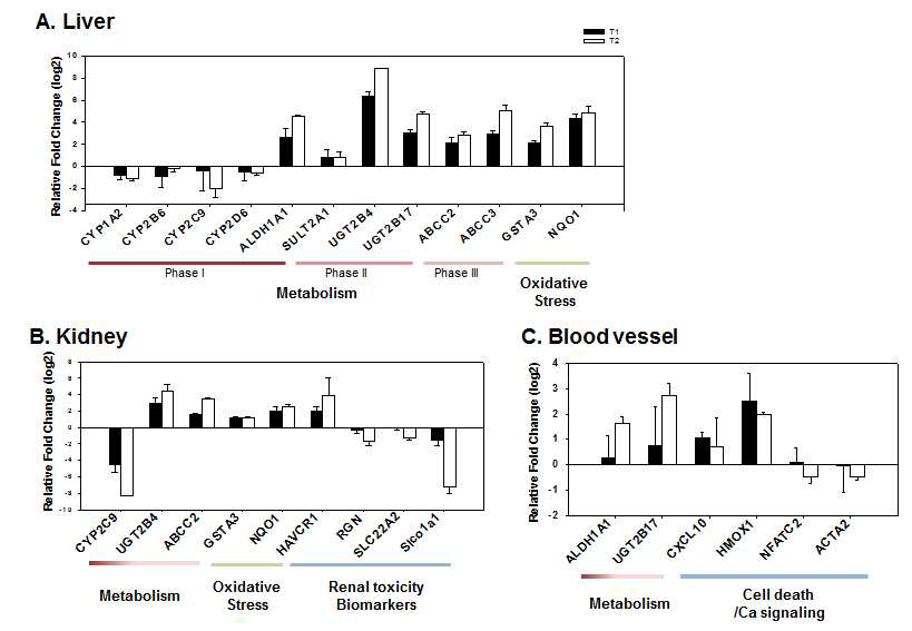 Validation of gene expression of selected genes in the TAA-treated group by qRT-PCR