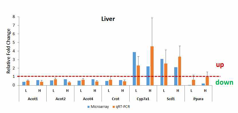 Validation of target genes expression for PPAR-a in the liver of CsA-treated group