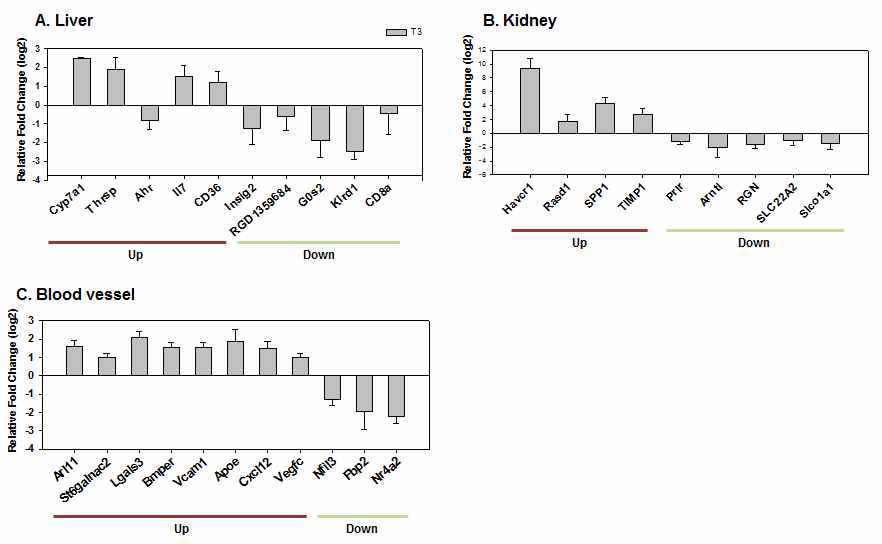 Validation of gene expression of selected genes in the CPM-treated group by qRT-PCR