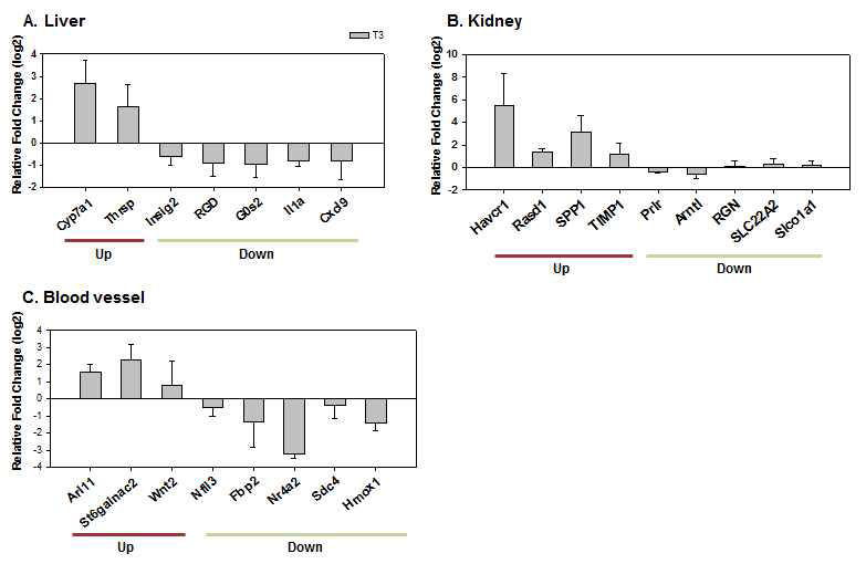 Validation of gene expression of selected genes in the FK506-treated group by qRT-PCR