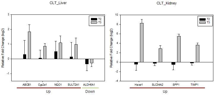 Validation of gene expression of selected genes in the CLT-treated group by qRT-PCR