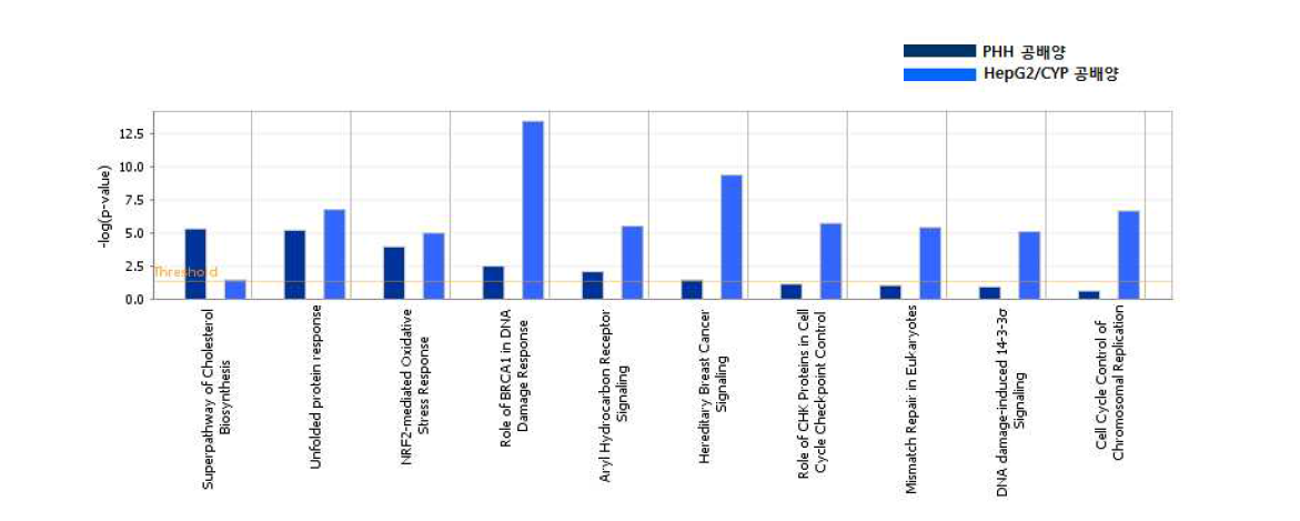 Canonical pathway analysis of DEGs of CsA-treated group between two different hepatocytes under co-culture system