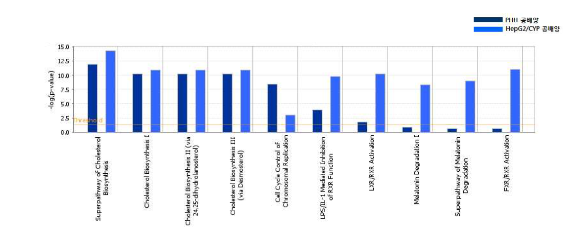 Canonical pathway analysis of DEGs of AMD-treated group between two different hepatocytes under co-culture system