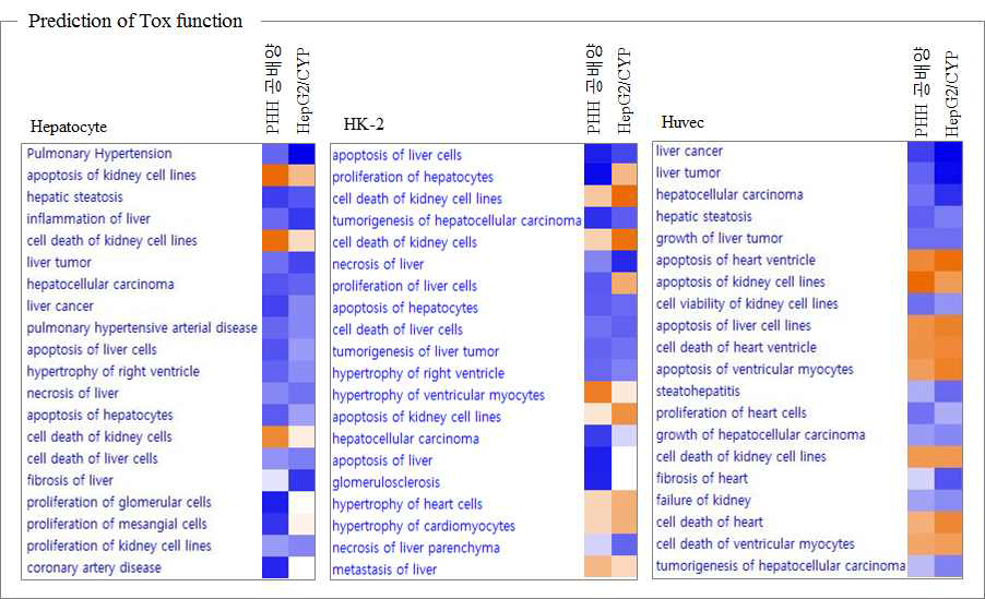 Predictive analysis of Tox function of AMD-treated group between two different co-culture system based on HepG2/CYP and hPH