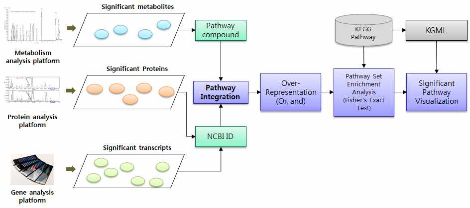 Signature-pathway mapping algorithm