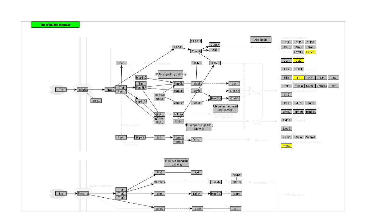 Omics data integrated pathway – TNF signaling pathway