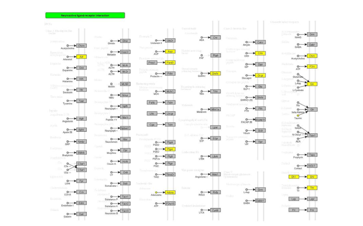 Omics data integrated pathway – Glycine, serine and threonine metabolism