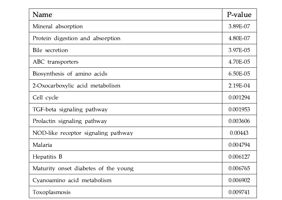 Omics data integrated pathway list-Amiodarone liver