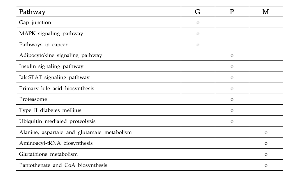 Ifosfamide affected pathway list