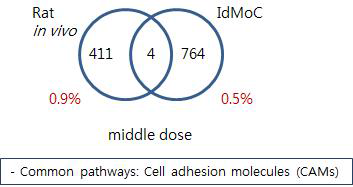 Comparison of Rat and IdMOC model -Thioacetamide liver middle