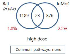 Comparison of Rat and IdMOC model -Thioacetamide liver high