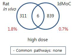 Comparison of Rat and IdMOC model -Thioacetamide kidney high