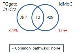 Comparison of TG-GATE rat and IdMOC model –Cyclosporin A liver middle