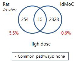 Comparison of TG-GATE rat and IdMOC model –Cyclosporin A liver high