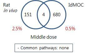 Comparison of Rat and IdMOC model –Cyclosporin A kidney middle