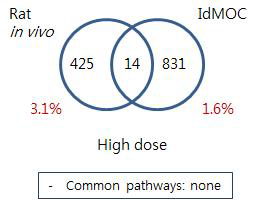 Comparison of Rat and IdMOC model –Cyclophosphamide liver high