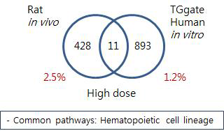 Comparison of Rat and TG-GATE human in vitro –Cyclophosphamide liver high