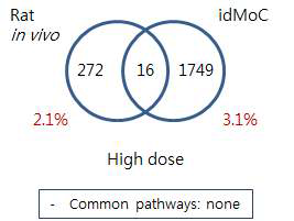 Comparison of Rat and IdMOC model –Tacrolimus liver high