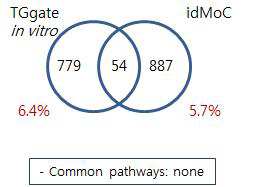 Comparison of TG-GATE human in vitro and IdMOC model – Amiodarone liver high