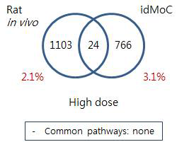 Comparison of Rat and IdMOC model –Ifosfamide liver high