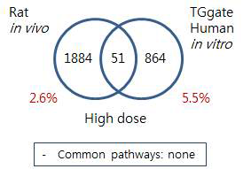 Comparison of Rat and TG-GATE human in vitro – Indomethacin liver high