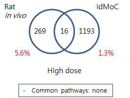 Comparison of Rat and IdMOC model –2-BEA liver high