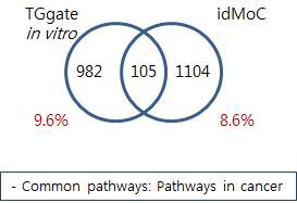 Comparison of TG-GATE human in vitro and IdMOC model – 2-BEA liver high