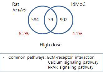 Comparison of Rat and IdMOC model–2-BEA kidney high