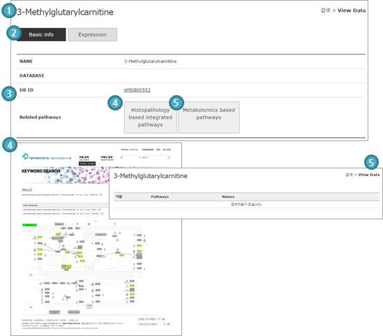 Database procedure-keyword search, metabolite basic info