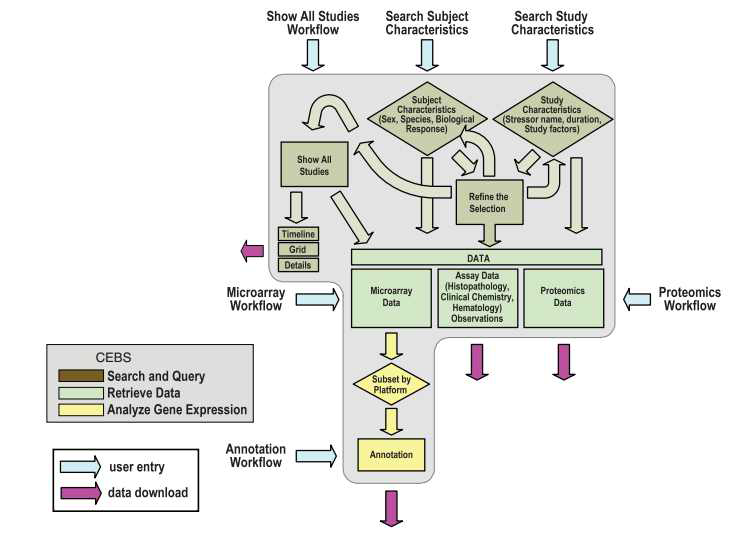 The workflow of CEBS database