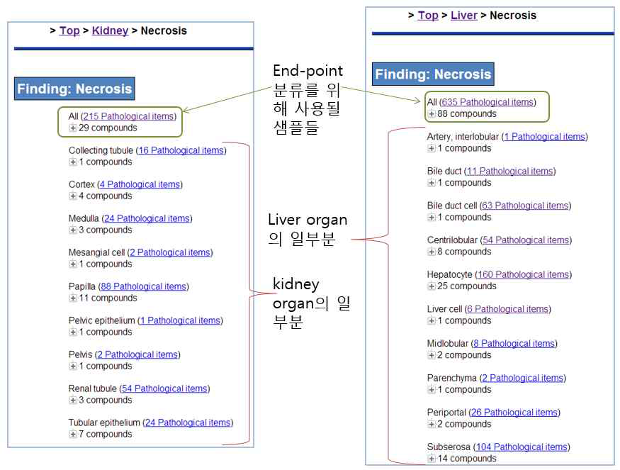 Liver and kidney end-points defined by The TG-GATEs