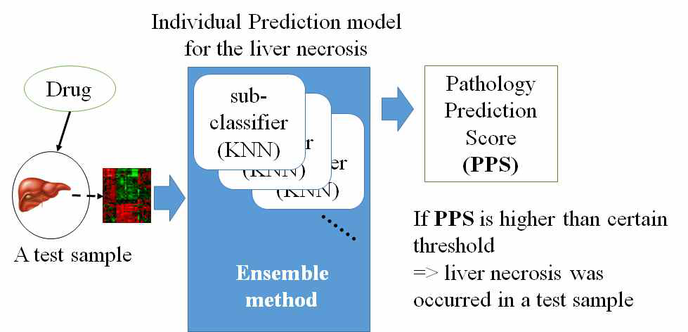 The design of individual end-point prediction models