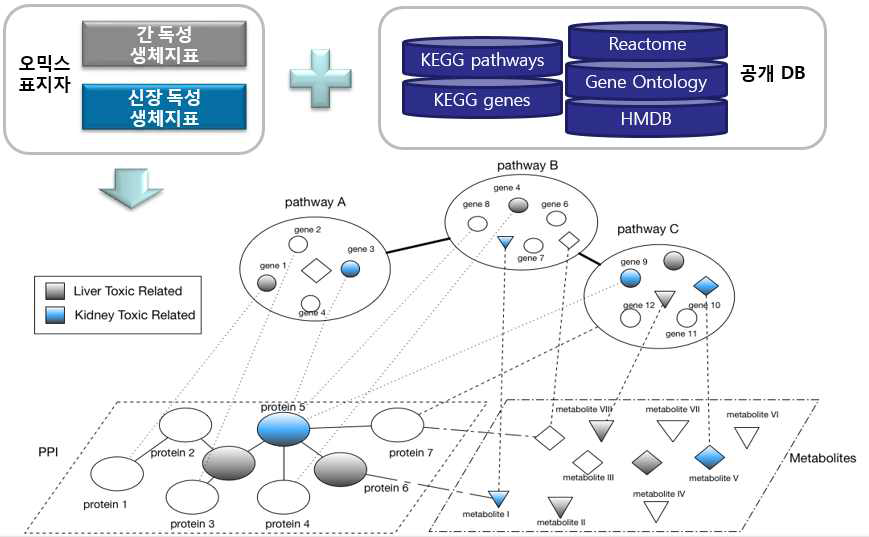 The design of the integrative network