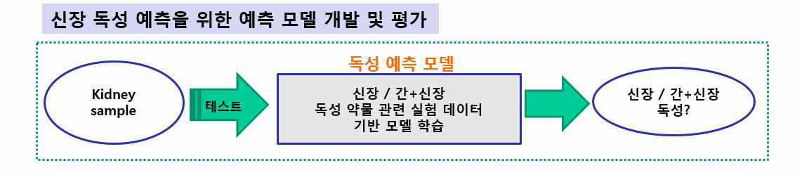 The design of our kidney toxicity prediction model