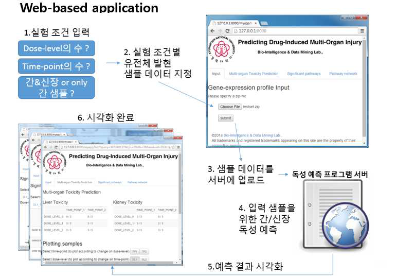 The workflow of our web-based multi-organ toxicity prediction program