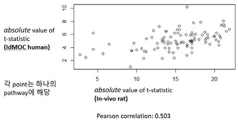 Correlation between in-vivo and IdMOC data when using our pathway markers only