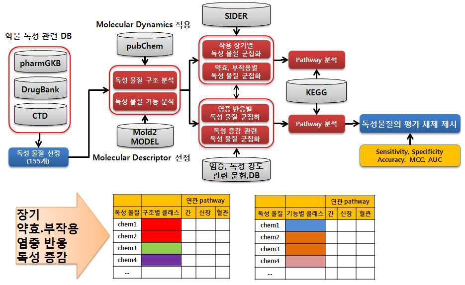 Scheme of the 1st year