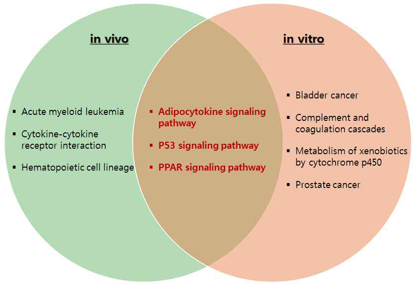 Workflow of comparison study between in vivo and in vitro