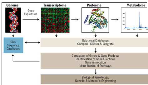 Methodology of omics data integration study