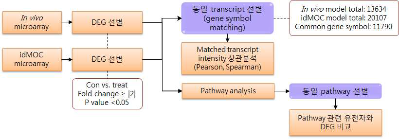 Evaluation of IdMOC model