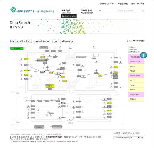 Database procedure-data search, histopathology based integrated pathways