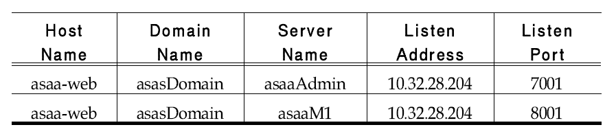 Domain 인스턴스 구성 정보