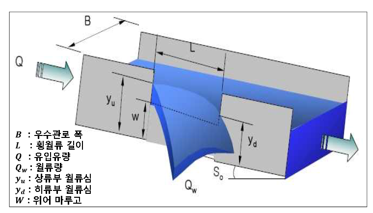 횡월류 모식도