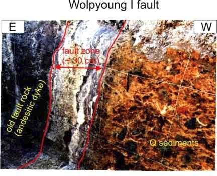 월평1단층의 30cm 폭의 단층점토와 단층을 중심으로 서쪽에는 제4기 선상지 퇴적층과 동측의 안산암질 암맥이 접하고 있다