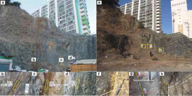 교동 지점의 단층노두(a: 양주석, 2006; e: 야외 노두사진). 단층대 및 단층비지의 ESR 연대측정(b, c, d: 양주석, 2006)과 단층과 관련된 지질구조(f, g, h)