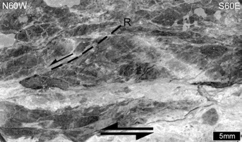 마동1 지점 단층암에서 관찰된 R-전단띠의 미구조