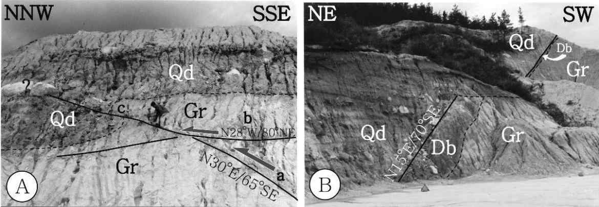 개곡3단층의 단층조선(L1). Gr: 제3기 초의 화강암, Qd: 제4기 퇴적층, Db: 염기성 암맥, 점선: 단층조선