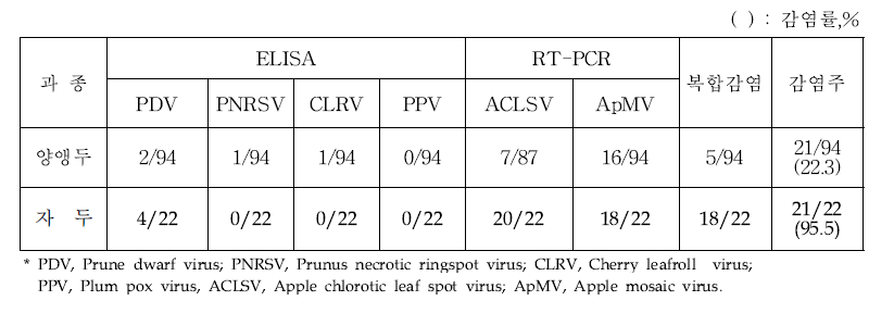 양앵두 바이러스 발생조사