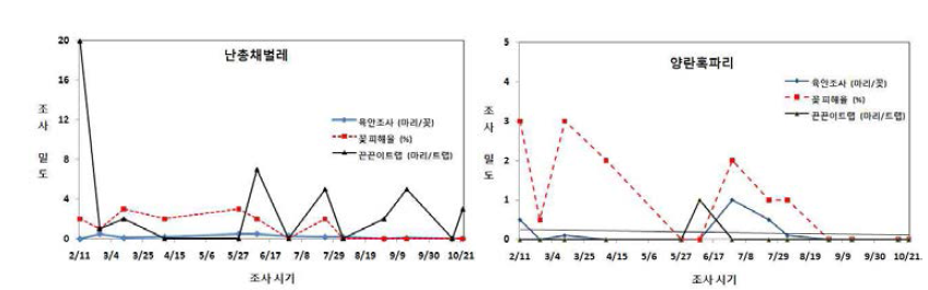 덴파레에서 주요 해충 발생 소장 및 피해(09년, 음성)