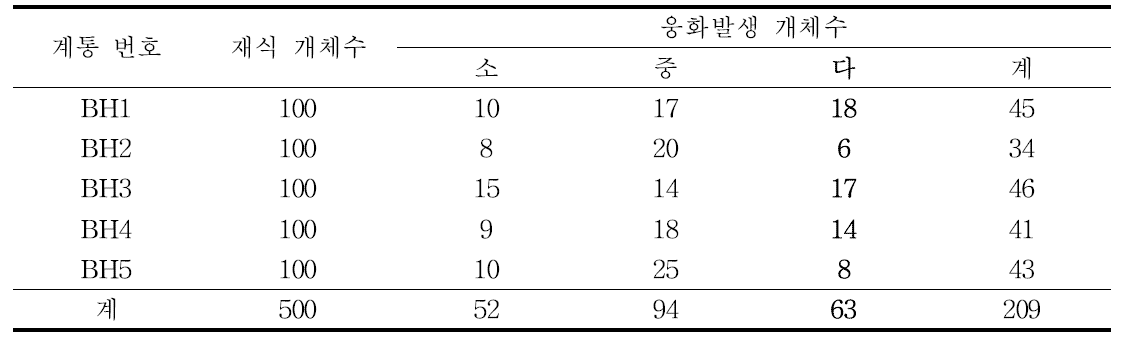 자웅동주 계통 온실내 선발내역: 수꽃 발생량이 많은 63개체 선발 및 자식